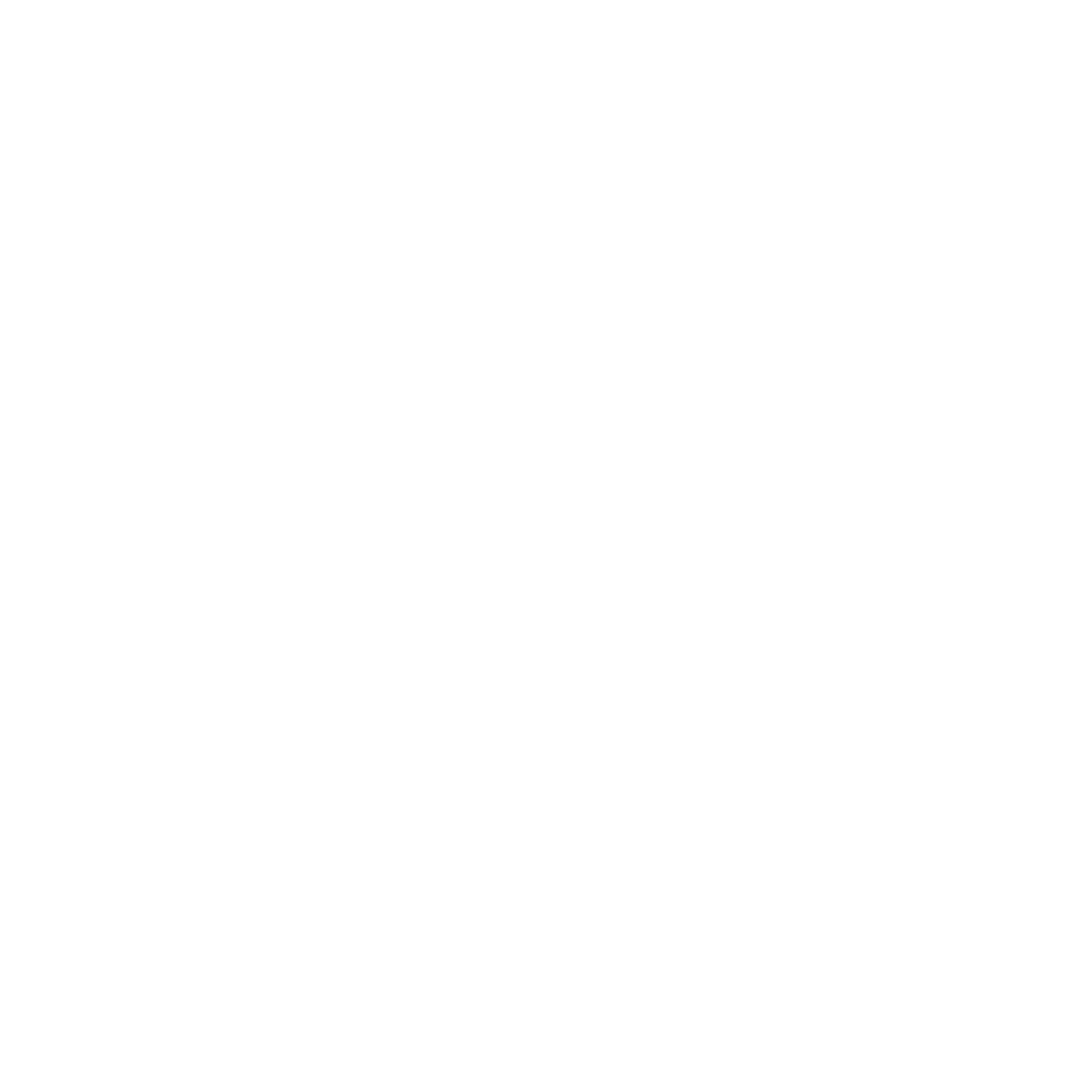 call icon